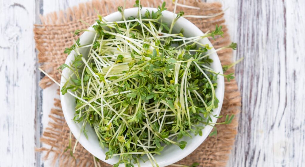 velouté de cresson recette