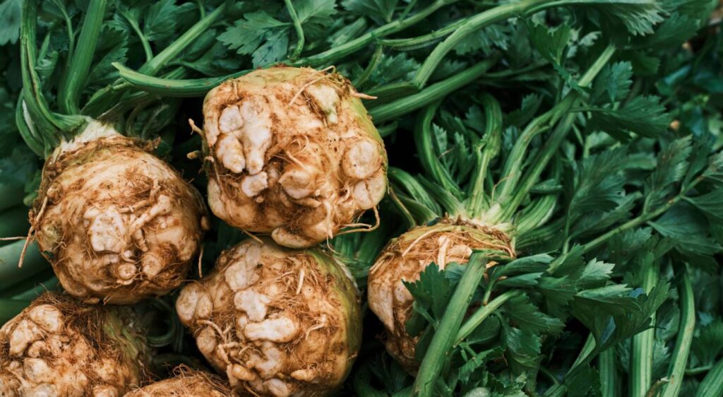 céleri rave bienfaits