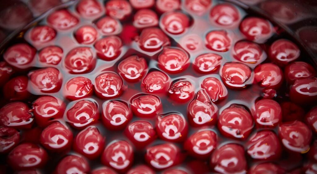 comment faire des cerises amarena