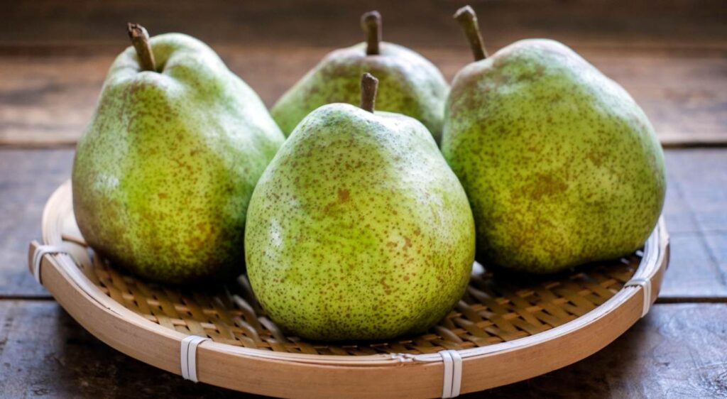 variétés de poires à cuire