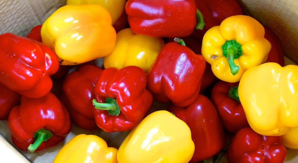 mariner des poivrons