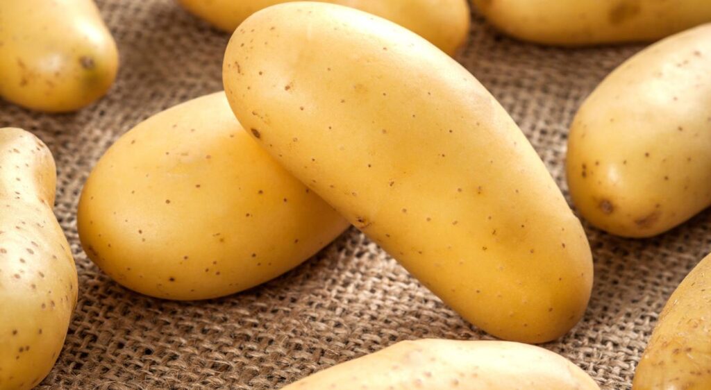 pommes de terre amandine