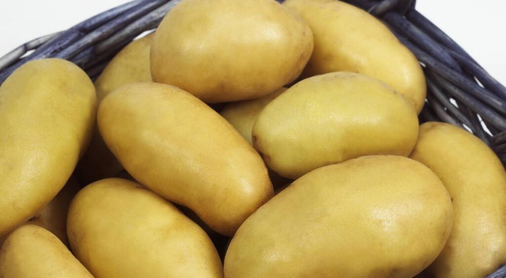 pommes de terre charlotte