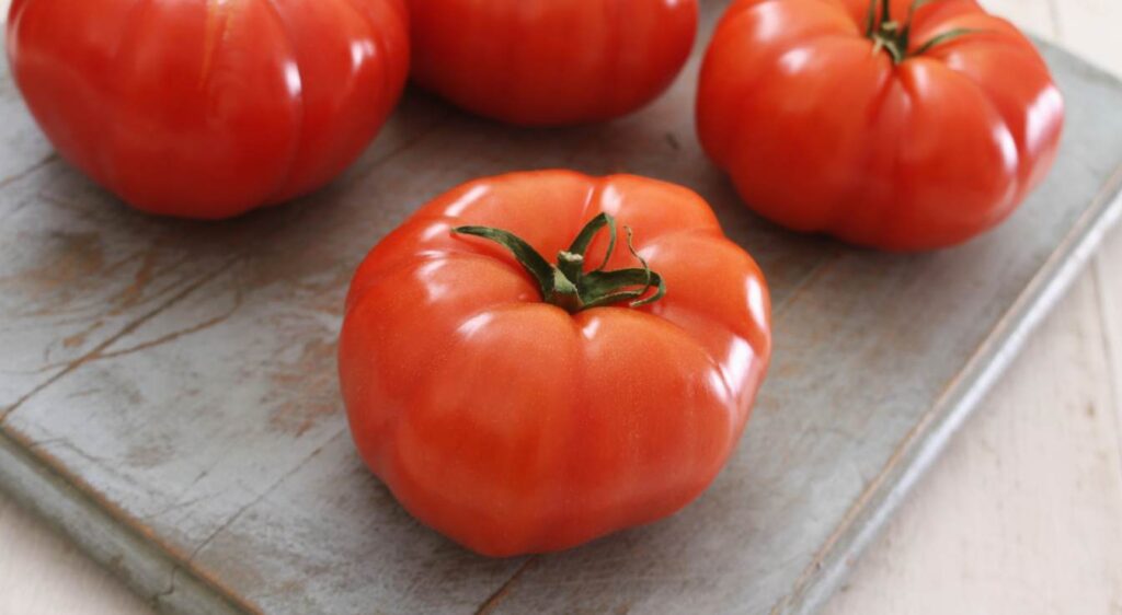 tomate saint pierre