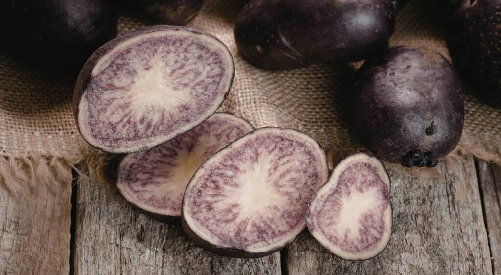 variétés de pomme de terre