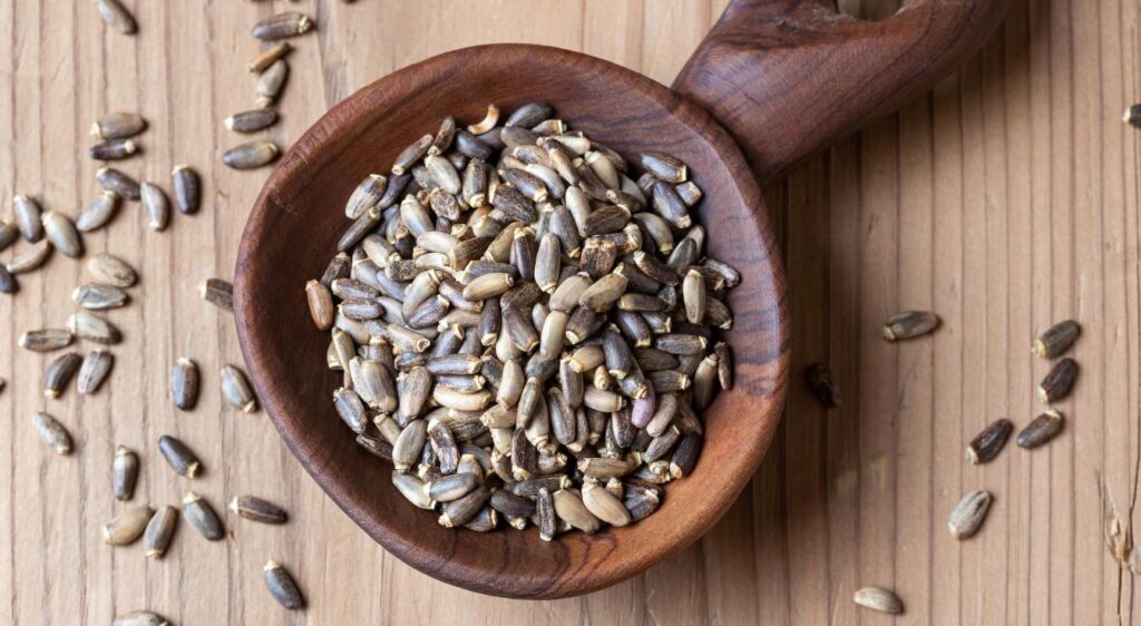 chardon marie et perte de poids