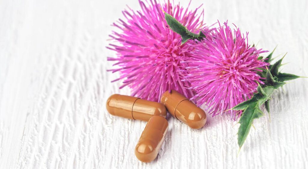 chardon marie perte de poids