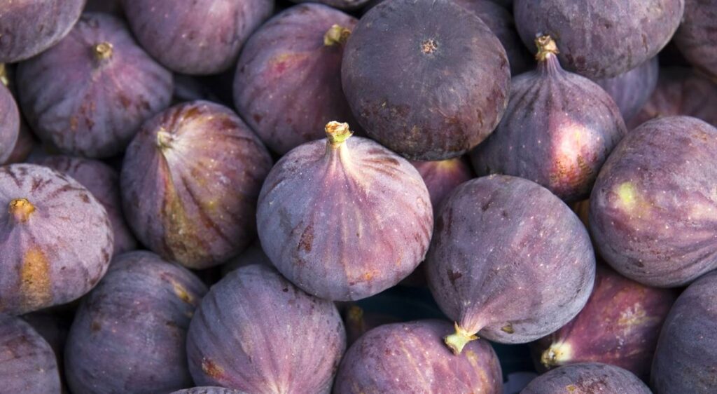 Comment savoir si mes figues sont mûres