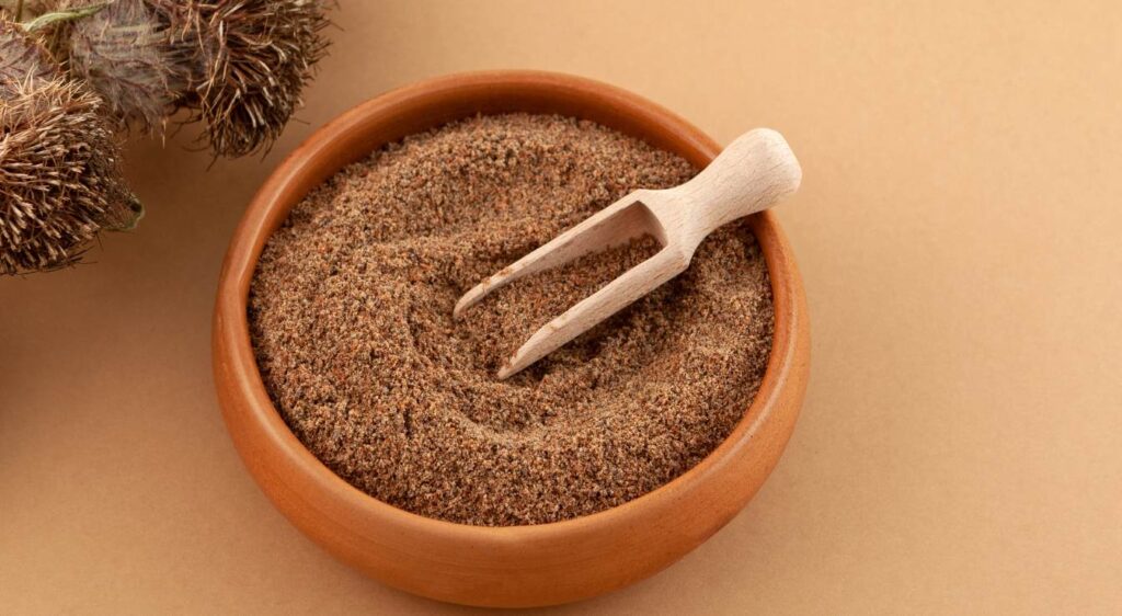 graines de chardon marie