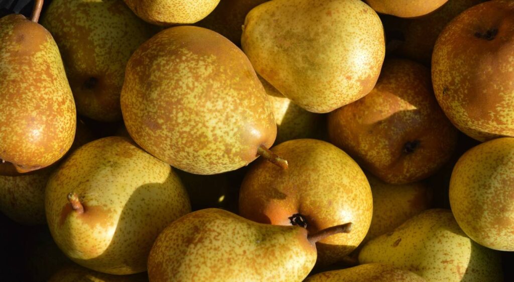 poires passe crassane