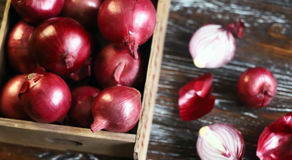 Chutney d'oignons rouges