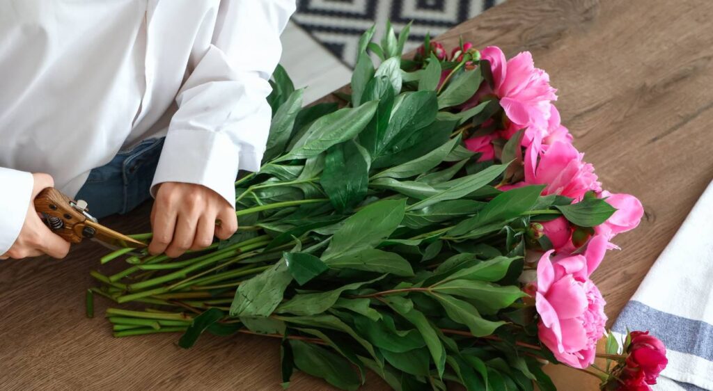 Conserver les pivoines coupées