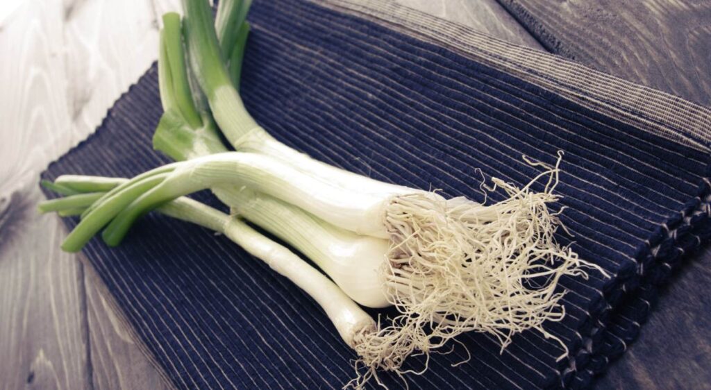 tarte aux oignons et poireaux