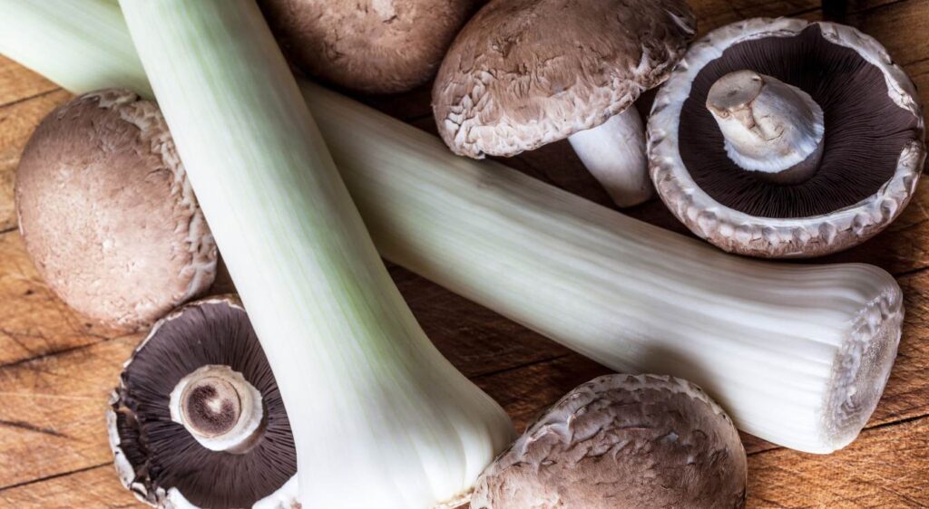 tarte aux poireaux champignons