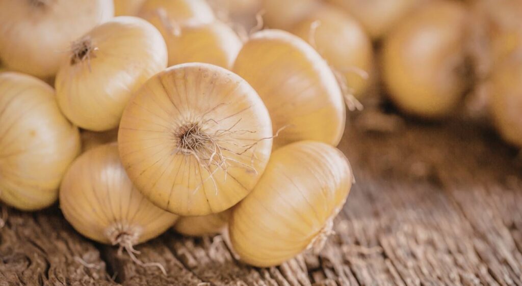 recette confit d'oignons​