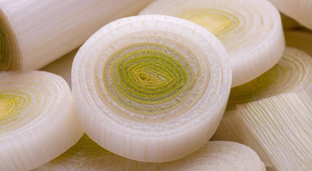 recette fondue de poireaux aux noix de st jacques