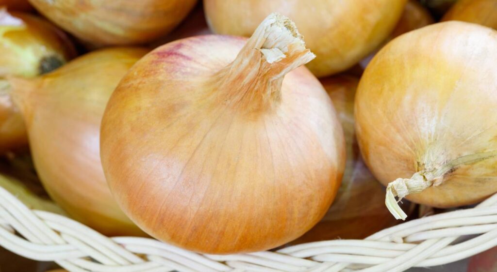 temps de cuisson oignon au four