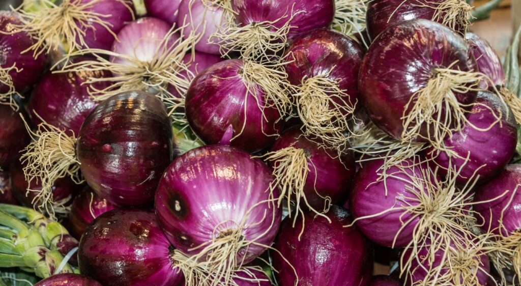 oignons rouges