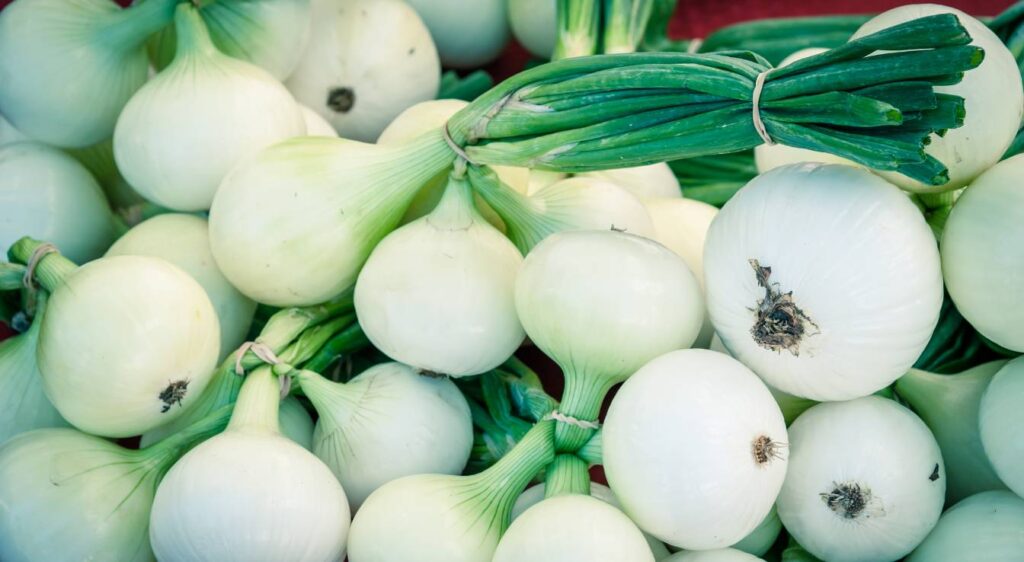 oignon doux